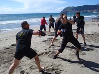total fighting school alassio 09