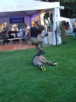 Kombat Festival Varese 20