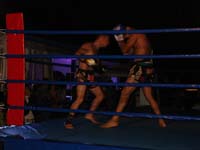 Kombat Festival Varese 71