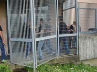 difesa personale 28