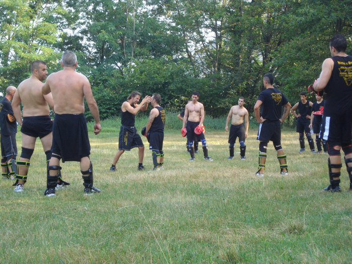 total fighting 11