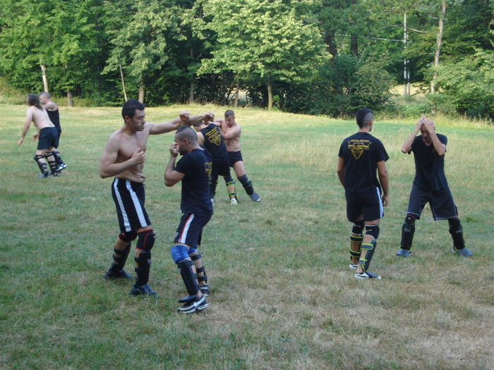 total fighting 23