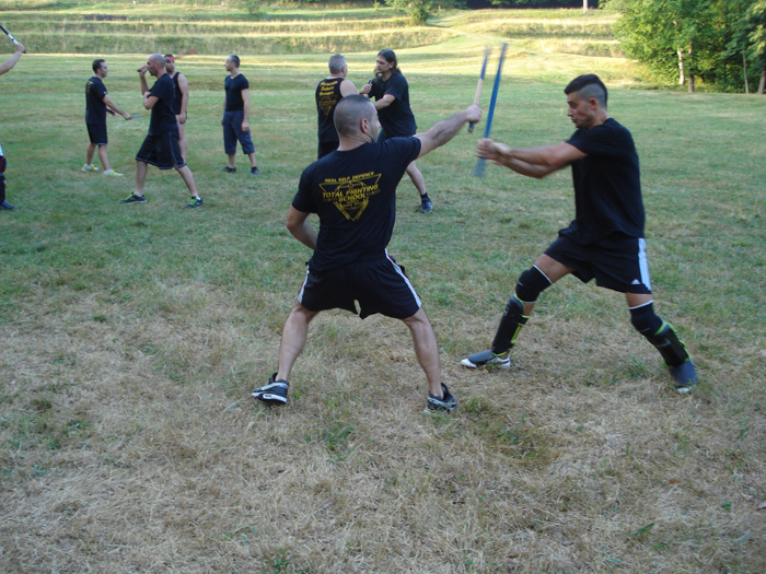 total fighting 29