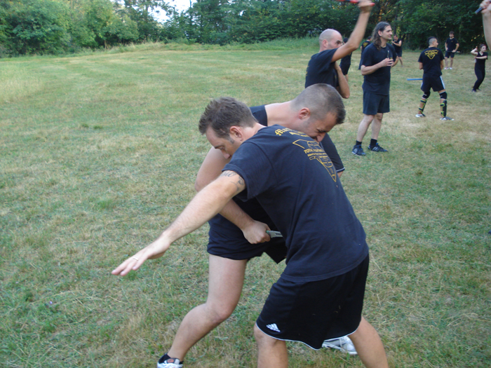 total fighting 32