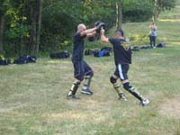total fighting 10