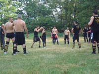 total fighting 11