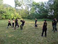 total fighting 17