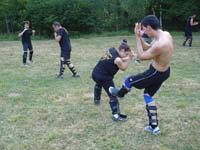 total fighting 20