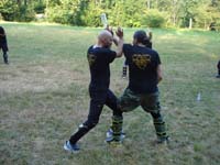 total fighting 25