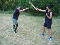 total fighting 28