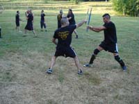 total fighting 29