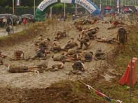Spartan Race 2015 Milano 02