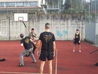 total fighting 08