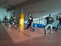 total fighting 12