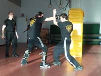 total fighting 15