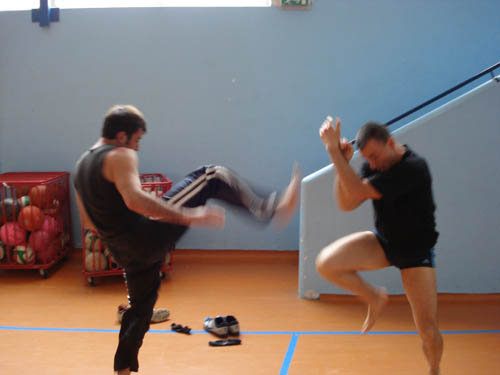 TFS jkd Varese 14