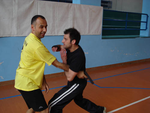 TFS jkd Varese 29