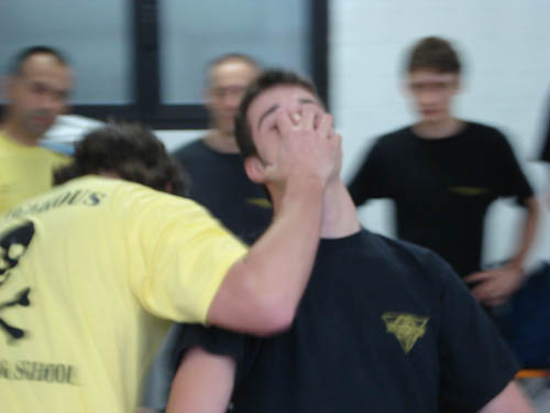 total fighting school 14